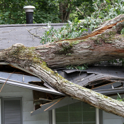 Emergency-roof-repair-services-dfw Emergency Roof Repair DFW