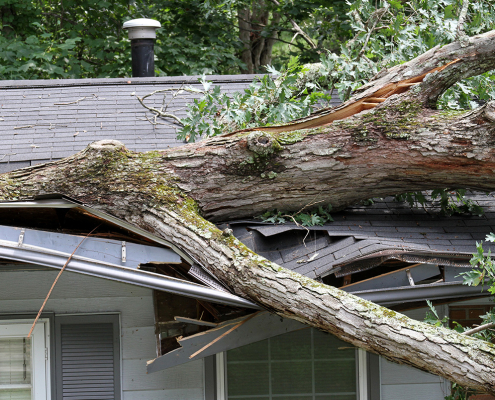 Emergency Roof Repair DFW